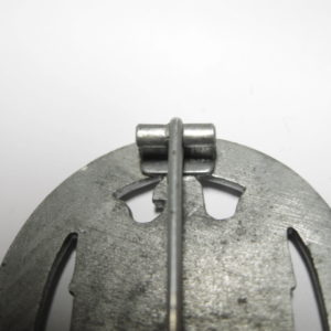 Allgemeines Sturmabzeichen-4900