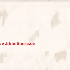 Grossformat Foto: Gruppenfoto Kompanie mit Geschütze-3039