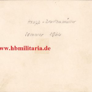 Foto Nachlass Krupp- Druckenmüller. Deutsche Ruestungsschmiede, Sturmgeschütze der Fa. Krupp in Grossformat-3071