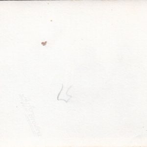 Foto Waffen XX, Elite Kampfpause-3227