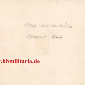 Foto Nachlass Krupp- Druckenmüller. Deutsche Ruestungsschmiede, Sturmgeschütze der Fa. Krupp in Grossformat-3079