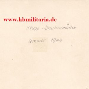Foto Nachlass Krupp- Druckenmüller. Deutsche Ruestungsschmiede, Sturmgeschütze der Fa. Krupp in Grossformat-3081