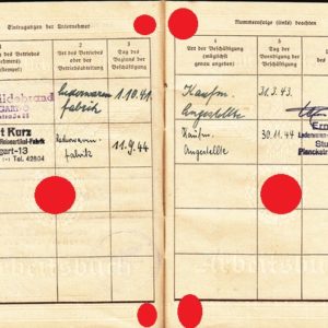 Dokumente Nachlass einer Angehörigen vom Reichsarbeitsdienst ( RAD, weibliche Jugend )-5074