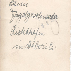 Foto Angehöriger der Luftwaffe des Jagdgeschwader Richthofen-6049