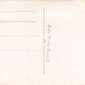Eduard Dietl. Generaloberst. Original- Unterschrift.-9700