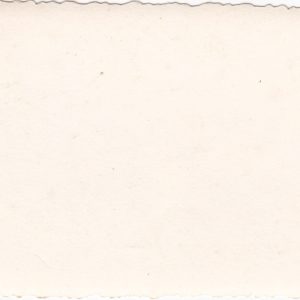 Foto deutsches Sturmgeschütz auf dem Vormarsch-10741