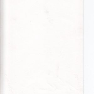 Foto Generaloberst Dietl, mit originaler Unterschrift.-11017